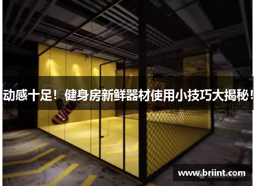 动感十足!健身房新鲜器材使用小技巧大揭秘!